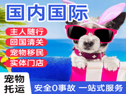 潍坊机场快递国际宠物托运 【国